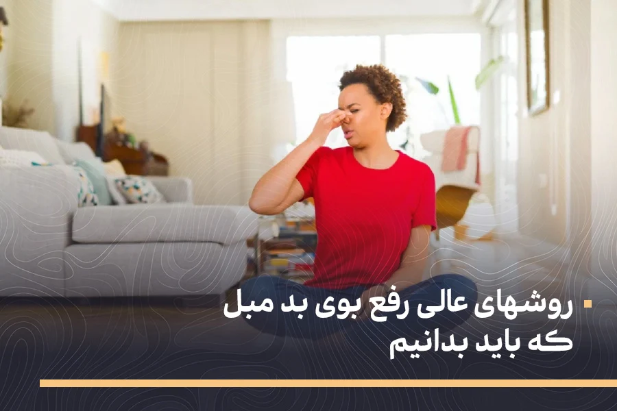 رفع بوی بد مبل